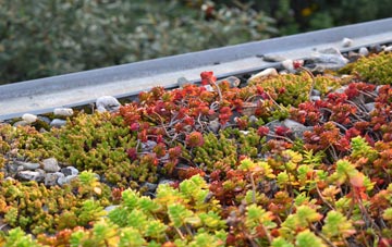 the cost of Low Catton green roof installation