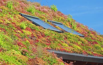 Low Catton living roof systems